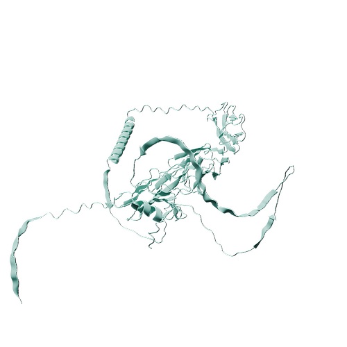 Human Nectin-1 (C-6His, HEK293)